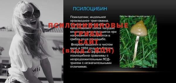 дживик Алексин