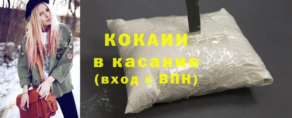 дживик Алексин