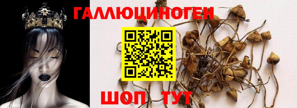 Псилоцибиновые грибы Magic Shrooms  Вход с VPN  Мегион 